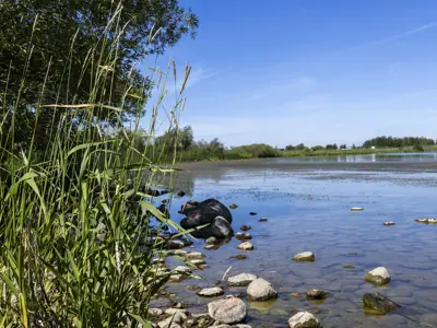 Heritage Lake Morinville
