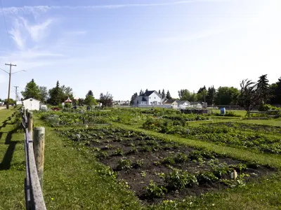 Champlain Heights Park Morinville