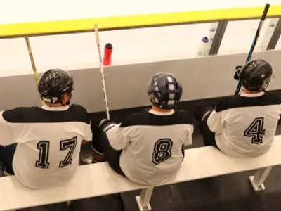 Hockey Players in box